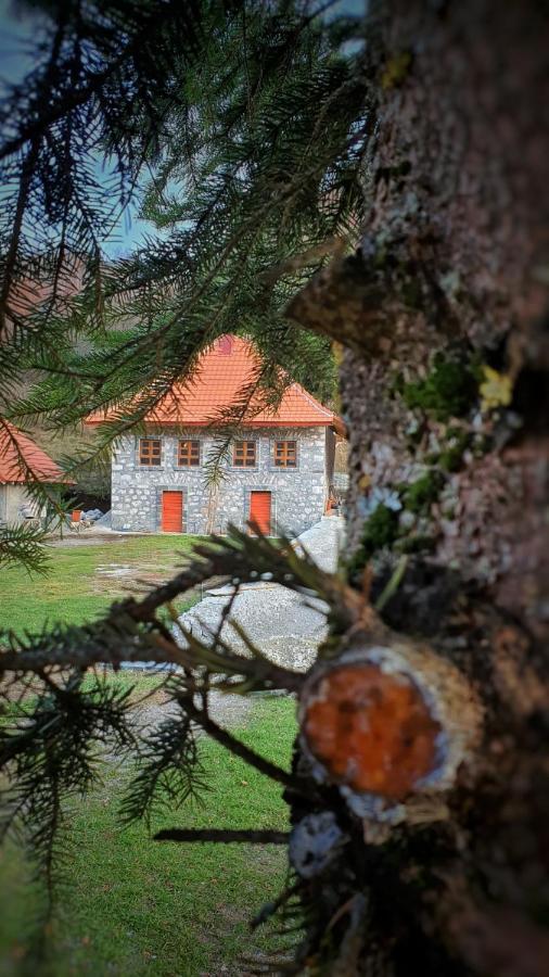 Daire Old House